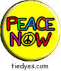 Peace Now Political Button (Badge, Pin)