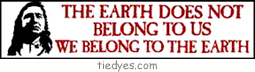 The earth Does Not Belong To Us  We belong to the the earth Bumper Sticker