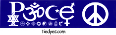 Peace Symbols Anti-War Anti-Bush Peace Feminist Political Bumper Sticker