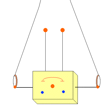 Tofu on Still Rings 1